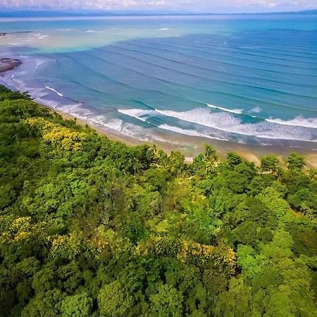 Four Monkeys Eco Lodge Jungle & Beach - The House Cabo Matapalo Екстер'єр фото