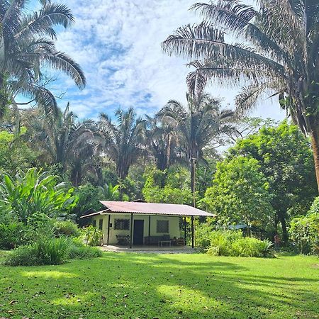 Four Monkeys Eco Lodge Jungle & Beach - The House Cabo Matapalo Екстер'єр фото