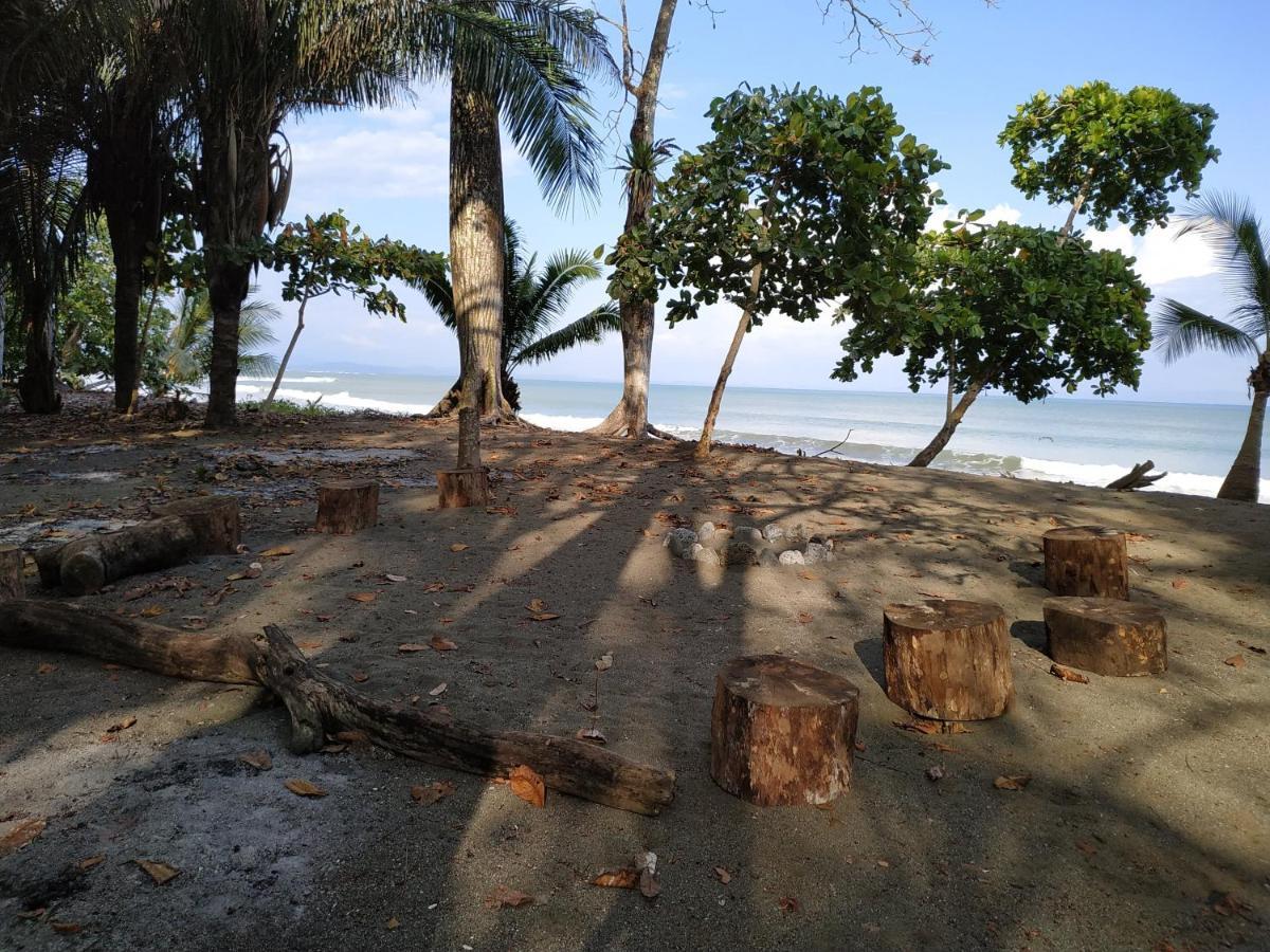 Four Monkeys Eco Lodge Jungle & Beach - The House Cabo Matapalo Екстер'єр фото