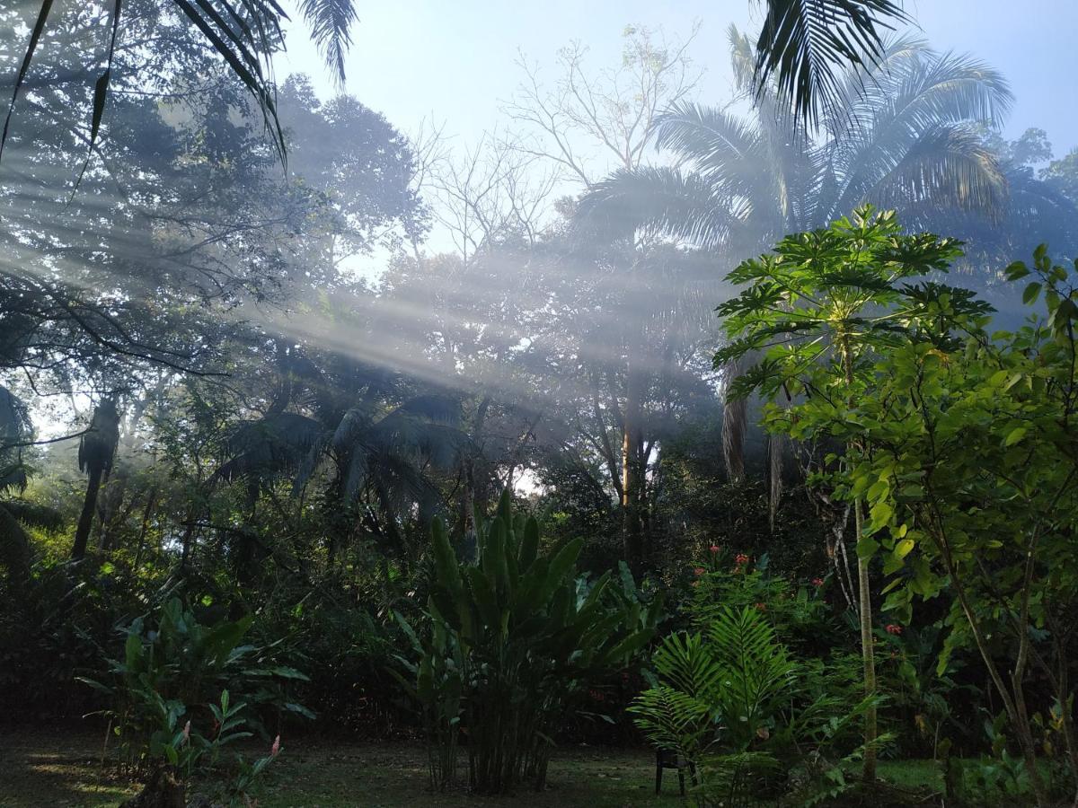 Four Monkeys Eco Lodge Jungle & Beach - The House Cabo Matapalo Екстер'єр фото