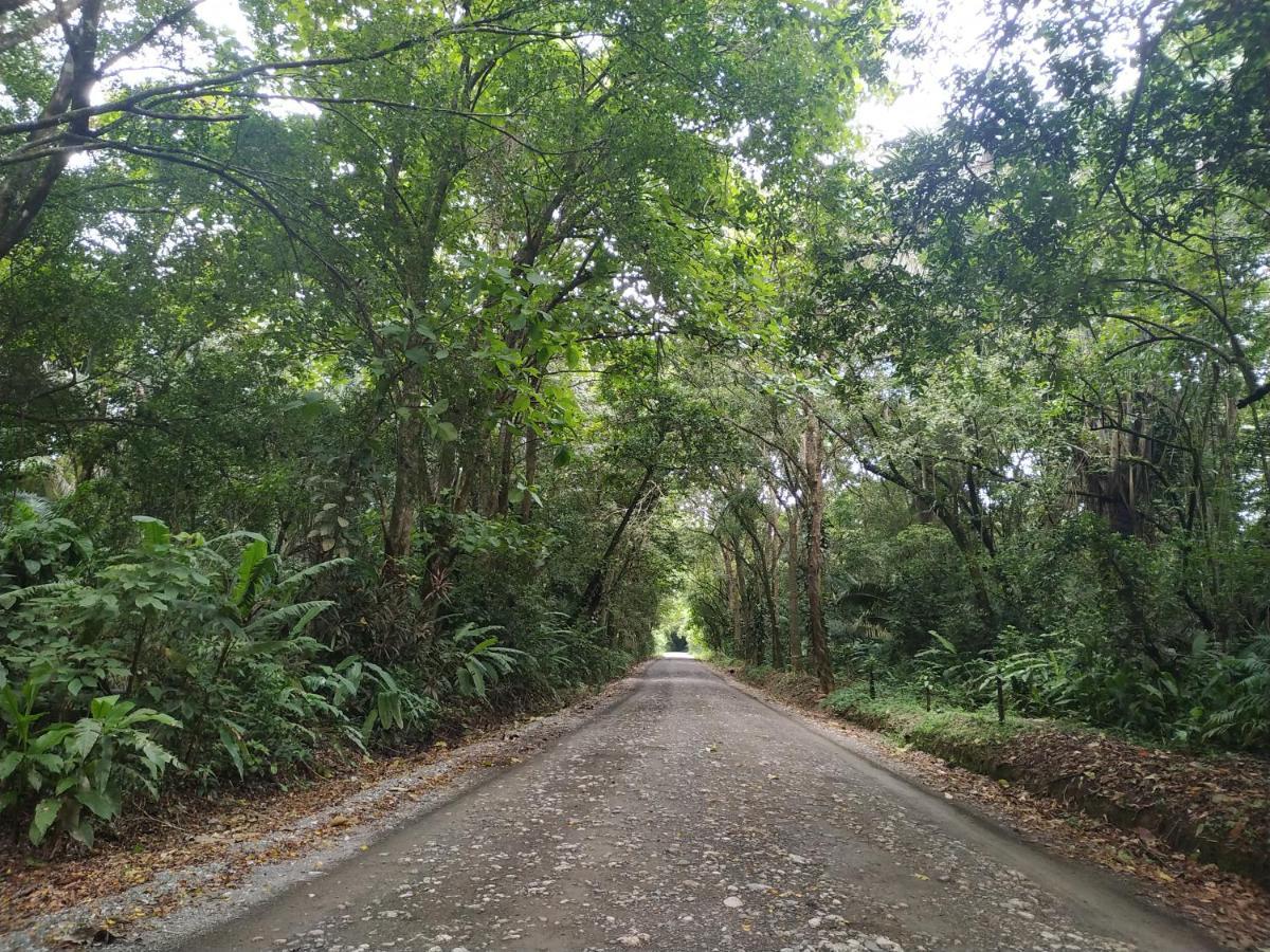 Four Monkeys Eco Lodge Jungle & Beach - The House Cabo Matapalo Екстер'єр фото