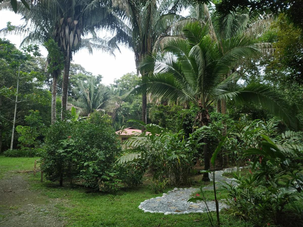 Four Monkeys Eco Lodge Jungle & Beach - The House Cabo Matapalo Екстер'єр фото
