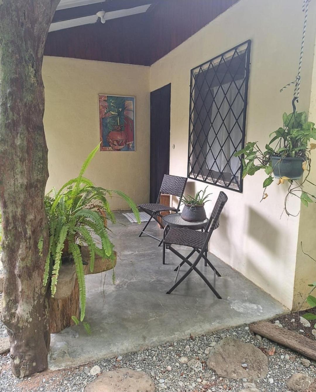 Four Monkeys Eco Lodge Jungle & Beach - The House Cabo Matapalo Екстер'єр фото