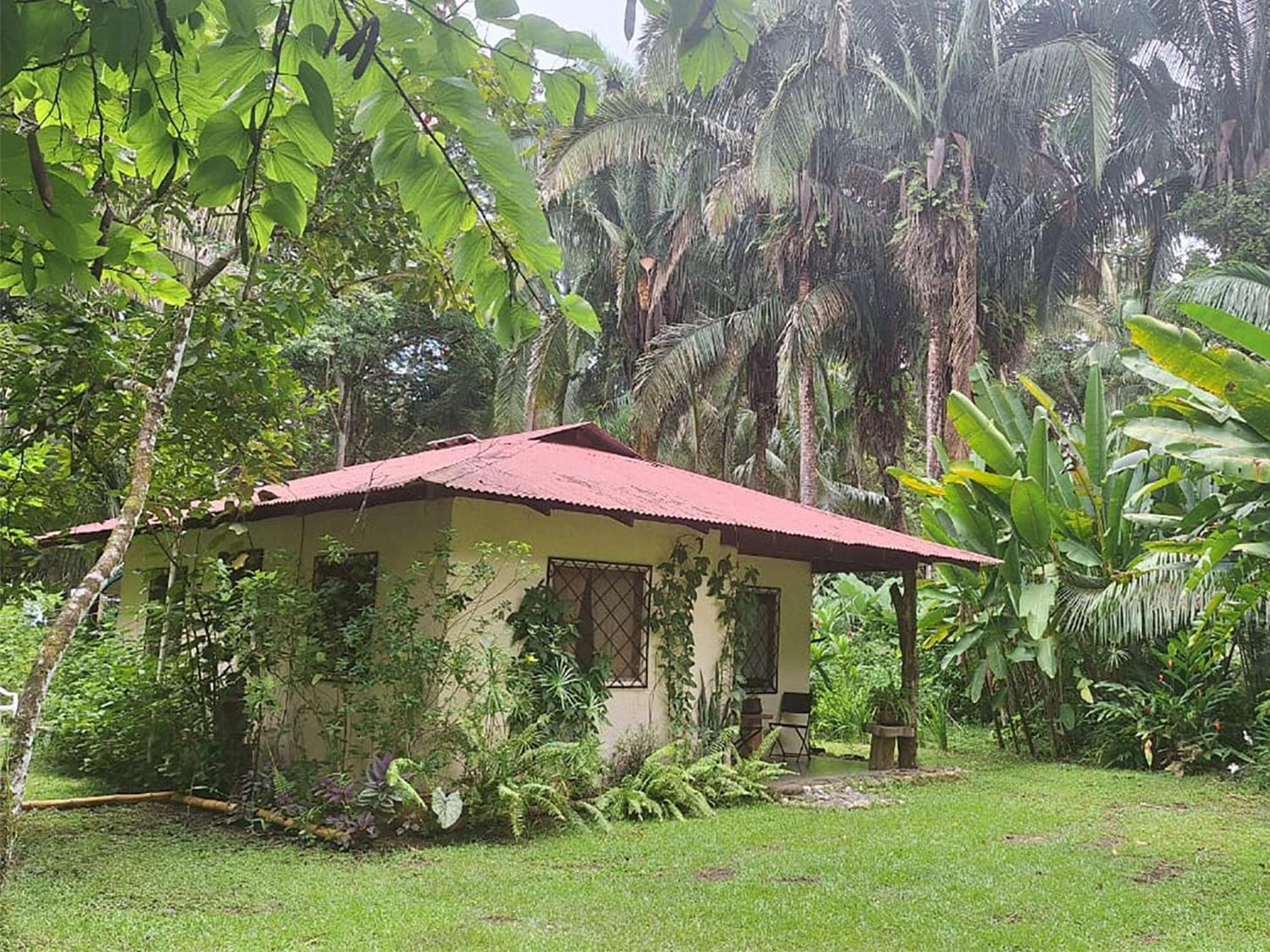 Four Monkeys Eco Lodge Jungle & Beach - The House Cabo Matapalo Екстер'єр фото