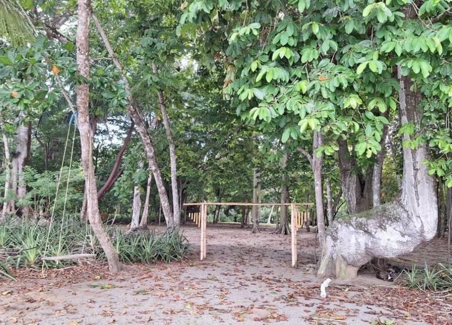 Four Monkeys Eco Lodge Jungle & Beach - The House Cabo Matapalo Екстер'єр фото