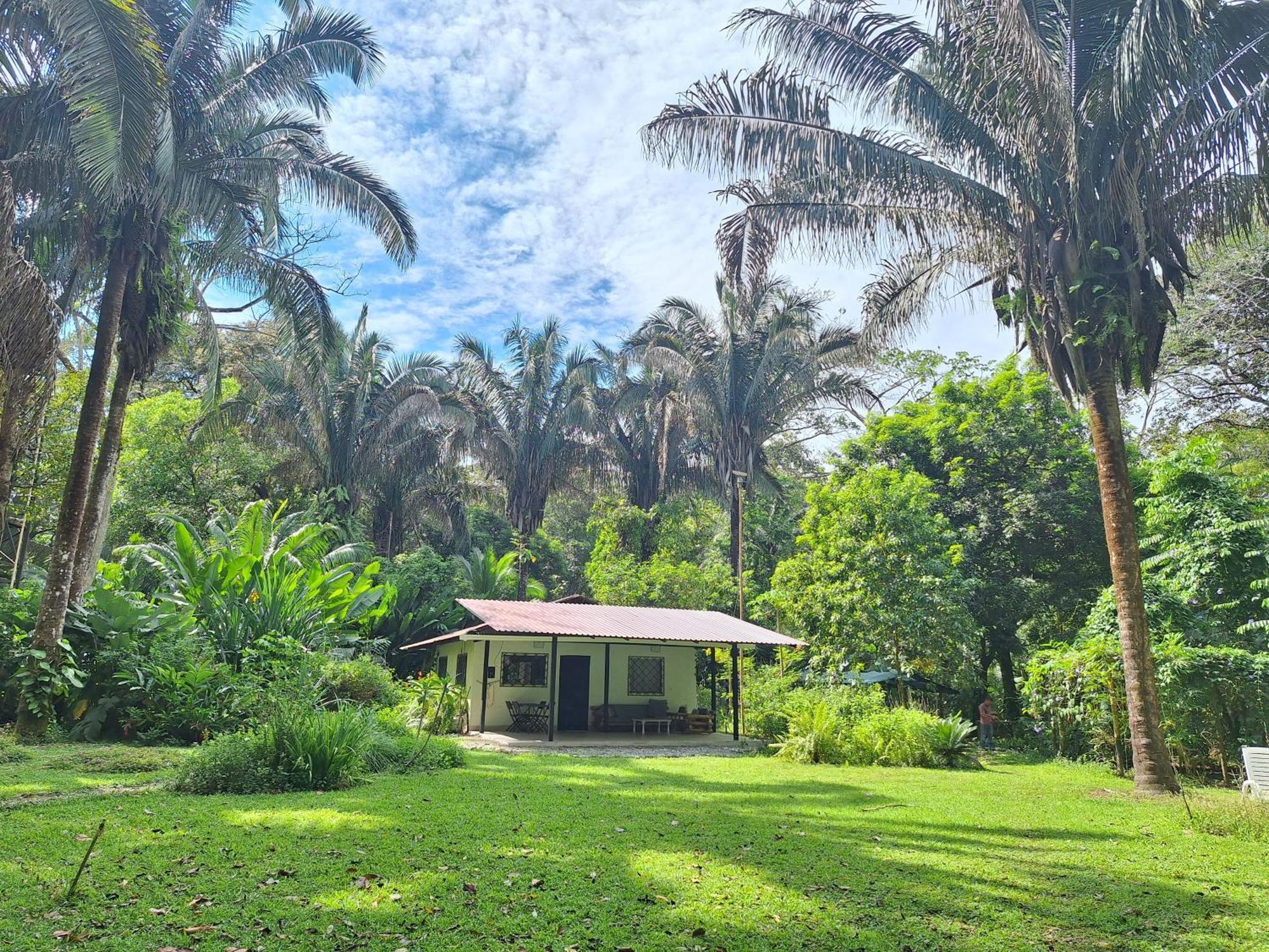 Four Monkeys Eco Lodge Jungle & Beach - The House Cabo Matapalo Екстер'єр фото