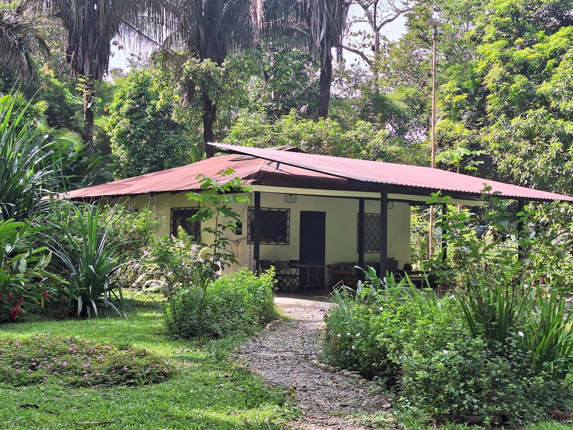 Four Monkeys Eco Lodge Jungle & Beach - The House Cabo Matapalo Екстер'єр фото