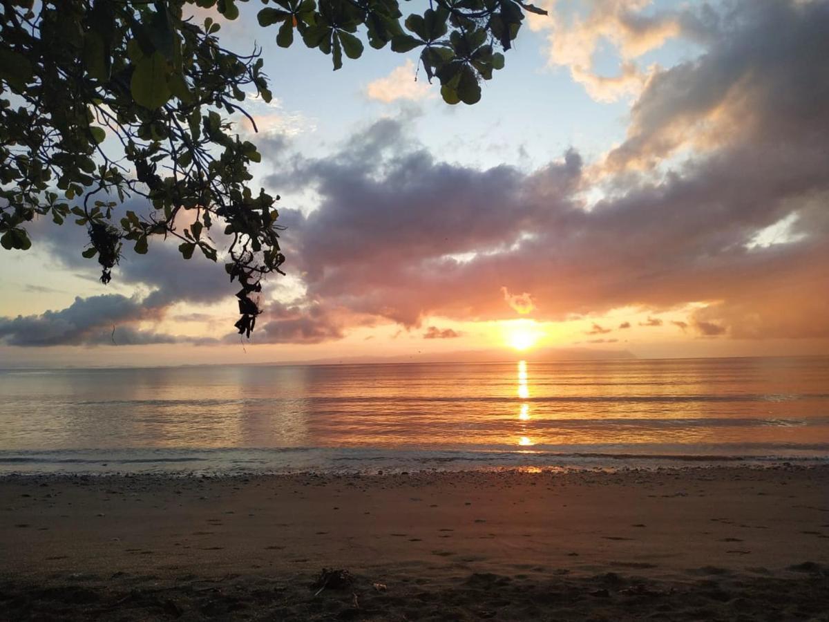 Four Monkeys Eco Lodge Jungle & Beach - The House Cabo Matapalo Екстер'єр фото
